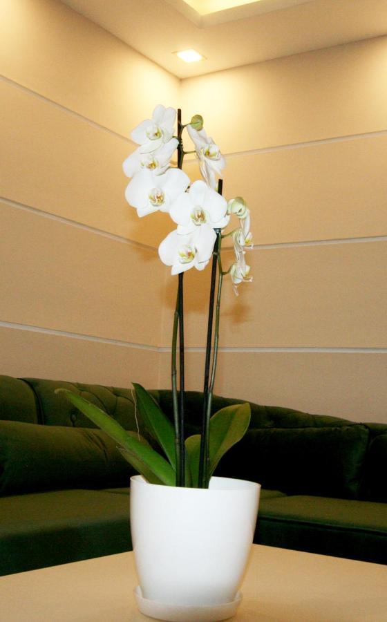 בלגרד Apartment Jasmine 2 מראה חיצוני תמונה